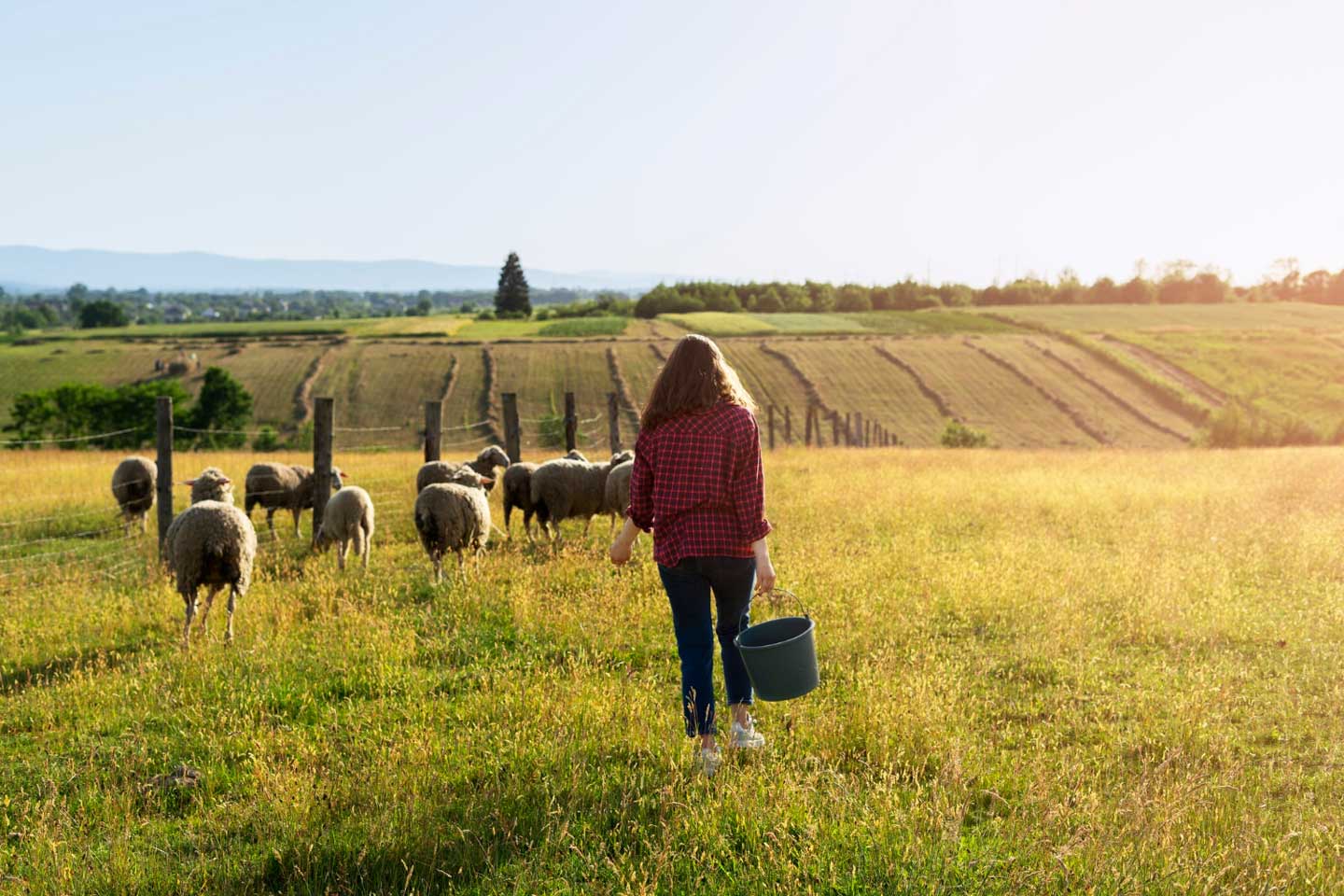 Work and Travel in Australien: Erfahrungen - Magazin SCHULE